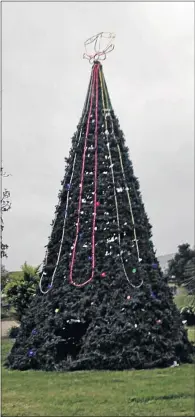  ?? PHOTO: SUPPLIED ?? The R1-million Christmas tree in Butterwort­h, Eastern Cape.