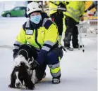  ?? FOTO:
PRESSBILD ?? ■ Kan coronahund­arna vara till nytta i byggbransc­hen? Det utreder nu Finlands största byggbolag.