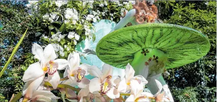  ?? ÁNGEL COLMENARES / EFE ?? Muestra. Cerca de 4.000 especies de orquídeas son expuestas en el Jardín Botánico de Nueva York.