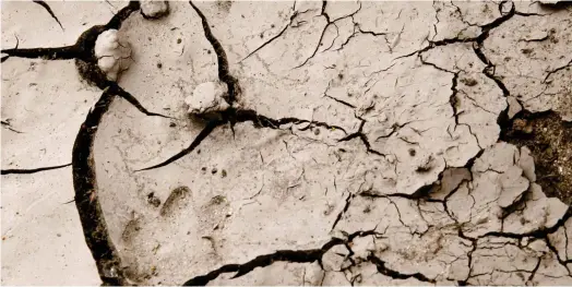  ?? ?? Le montant des dégâts liés à la sécheresse pourrait tripler d’ici 2050. (Crédits : Reuters)