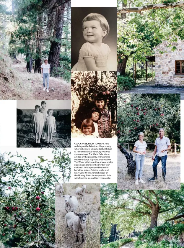  ??  ?? CLOCKWISE, FROM TOP LEFT Julie walking on the Adelaide Hills property where she grew up; Julie Isabel Bishop at 18 months old; a carefully restored stone cottage, The Waterfalls, sits on a ridge on the property; with partner David Panton; a huge oak tree outside The Waterfalls; inquisitiv­e sheep; apples ripening on the tree; the third of four children, Julie is pictured here with her older sisters Patricia, eight, and Mary Lou, 10, on a family holiday on the Murray River; three-year-old Julie with Patricia, six, and Mary Lou, eight.