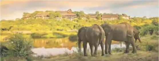  ??  ?? A view of the Victoria Falls Safari Lodge from a waterhole below.