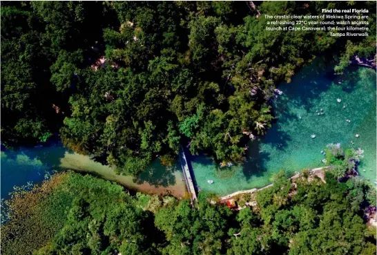  ?? ?? Find the real Florida The crystal clear waters of Wekiwa Spring are a refreshing 22°C year-round; watch rockets launch at Cape Canaveral; the four kilometre Tampa Riverwalk