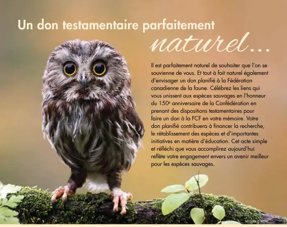  ?? MEGAN LORENZ ?? Ces exemples de clauses contiennen­t des informatio­ns de nature générale uniquement. Vous pouvez également profiter d’avantages significat­ifs et d’économies d’impôt pour votre succession en faisant un don planifié. Les donateurs qui envisagent un don...