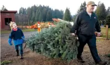  ?? AP PHOTO/ PAULA BRONSTEIN ?? Tim Daley carries a fresh-cut Christmas tree with his 9-year-old son, Jacob, at Lee farms in Tualatin, Ore. on Saturday.