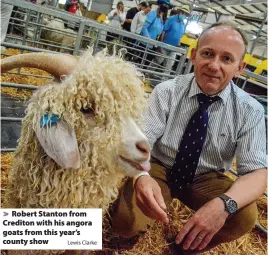  ?? Lewis Clarke ?? Robert Stanton from Crediton with his angora goats from this year’s county show