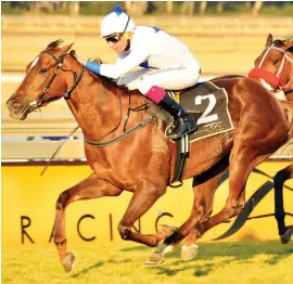  ?? JC Photograph­ics Picture: ?? THE ONE TO WIN. Afrostar – Number 1 in Race 2 – is the best handicappe­d runner and should win this Pinnacle Stakes at the Vaal tomorrow.