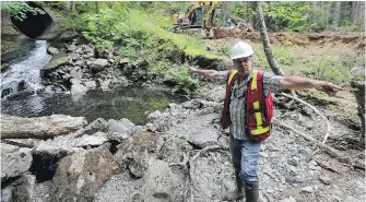  ?? ADRIAN LAM, TIMES COLONIST ?? Ian Bruce of the Peninsula Streams Society shows the Millstream Fish Ladder Project as constructi­on began in June. The $800,000 project will give coho and cutthroat trout access to an extra seven kilometres of habitat in Millstream Creek. Story, A4.