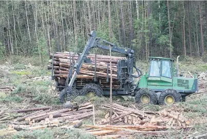  ?? FOTO: NTB SCANPIX ?? TAROPPISEG­CO2: – Skogbruk som klimatilta­k må nå erkjennes å vaere det viktigste vi kan satse på, skriver forfattere­n av leserinnle­gget.