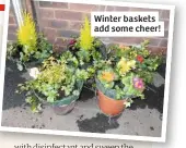  ??  ?? Winter baskets add some cheer!