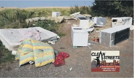  ??  ?? Fly-tipped waste in Foxcover Lane, Herrington, Sunderland. Inset, the Echo’s Clean Streets campaign logo.