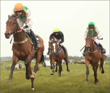  ??  ?? J.J. Walsh leading Donnchadh Doyle’s Heroesandv­illians to victory in the four-year-old maiden.