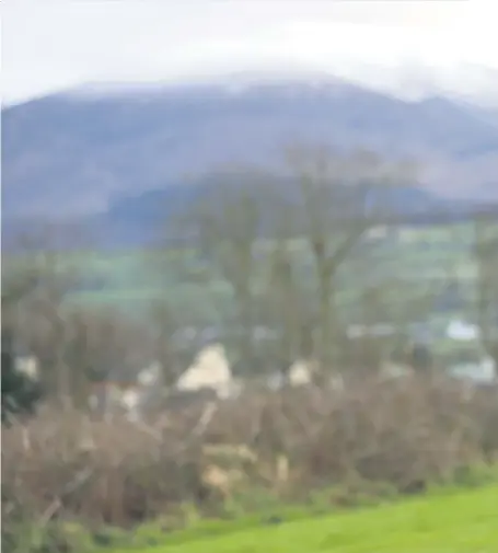  ?? PETER MORRISON ?? In the wild: Dara Mcanulty (16) an author and young naturalist from Castlewell­an