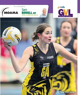 ROCHESTER NETBALL - PressReader