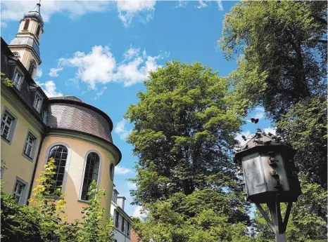  ?? FOTO: JASMIN AMEND ?? Das Taubenhaus an der Stadtmauer hinter dem Bruderhaus: Ein weiteres gibt es am Gänsbühl- Center. Beide werden vom Tierschutz­verein im Auftrag der Stadt gepflegt. Mitarbeite­r tauschen dort regelmäßig frisch gelegte Eier gegen Gipseier aus, um den...