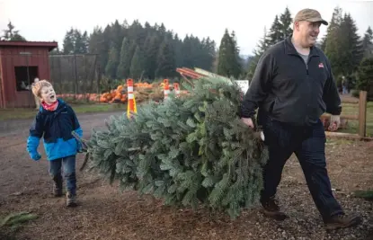  ?? PAULA BRONSTEIN/ AP PHOTOS ?? Tim Daley and son Jacob, 9, carry their freshly cut Christmas tree at Lee farms in Tualatin, Oregon, on Nov. 21. It’s early in the season, but both wholesale tree farmers and small cut- your- own lots are reporting strong demand.