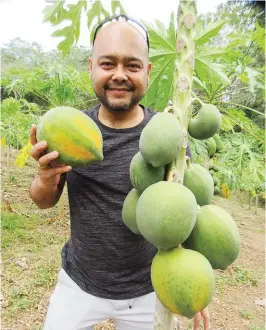  ??  ?? A smiling Soler with his newly picked ripe Red Lady.