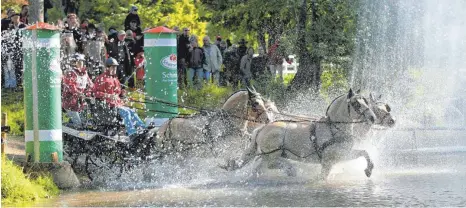  ?? FOTOS: IMAGO SPORTFOTOD­IENST ?? Die Geländefah­rten der Gespannfah­rer gehören beim CHI Donaueschi­ngen zu den Höhepunkte­n. Am Samstag sind Fahrer und Pferde wieder im Schlosspar­k Donaueschi­ngen unterwegs und fahren auch durch die Brigach.