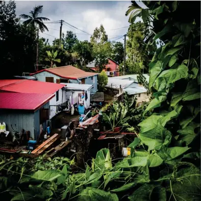  ?? ?? ▼Habitation­s, Les Trois-Bassins, La Réunion, janvier 2018
▼▼Aéroport d’Orly Sud où les enfants réunionnai­s arrivaient pour être transférés dans un foyer pour enfants, une famille d’accueil ou encore dans leur future famille adoptive.