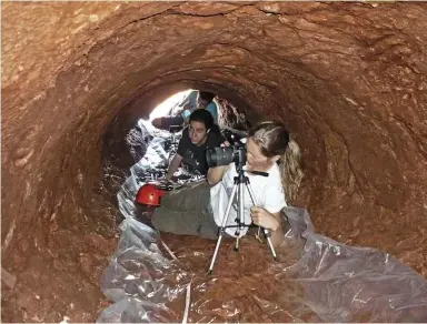  ??  ?? ABOVE: Researcher­s recording marks on the inside of a burrow in Rio Grande do Sul, Brazil.