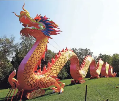  ?? ANGELA PETERSON / MILWAUKEE JOURNAL SENTINEL ?? The Dragon awaits China Lights at Boerner Botanical Gardens. The show runs Tuesdays through Sundays, beginning Friday through Oct. 22. See more photos and a video at jsonline.com/news.