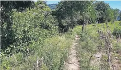  ??  ?? Ataque. La policía aseguró que el personal del GCAP fue atacado por los pandillero­s y que los agentes se defendiero­n usando sus armas de equipo.