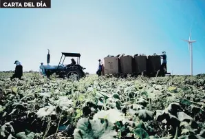  ?? ?? Mi papá hubiera preferido emplear su vida en el agro, escribe el periodista Ismael Torres.