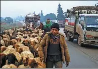  ?? AAREF WATAD / AFP ?? A young shepherd tends to his sheep as Syrians fleeing with their belongings pass through the town of Batabo in the Aleppo Province, Syria on Wednesday.