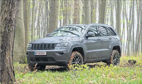  ??  ?? Im Wald macht der Jeep Grand Cherokee Trailhawk eine gute Figur. Das rote Emblem auf den Kotflügeln zeigt, dass dieses Auto spezielle Offroad-Fähigkeite­n hat.