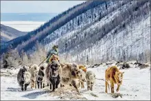  ?? Lucie Bressy - Crédits : ?? La transhuman­ce d’un peuple très attaché au pastoralis­me traduit de fortes affinités avec le plateau de l’Aubrac.