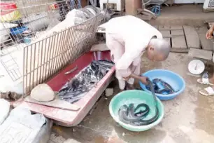  ?? A fresh fish seller at the market ??