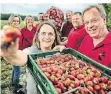  ?? FOTO: MATZERATH ?? In Langenfeld steht das traditione­lle Erdbeerfes­t an.