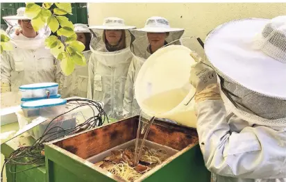  ?? RP-FOTO: CHRISTOPH SCHMIDT ?? Die Schüler füttern die Bienen für den Winter. Pro Volk werden 20 Kilogramm Zucker benötigt, gelöst in knapp 15 Liter Wasser. Links im Bild die selbst gebaute Mess-Einheit.