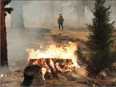  ?? (AP/The Reno Gazette-Journal/Jason Bean) ?? Firefighte­rs with the Los Angeles County Fire Department work to put out the Caldor Fire on Aug. 31 in the Christmas Valley area of South Lake Tahoe, Calif.