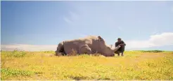  ?? COURTESY OF LEE JACKSON ?? James Mwenda sitting with northern white rhino, Kenya.