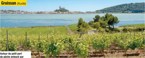  ??  ?? Autour du petit port de pêche entouré par le château et la tour Barberouss­e, le vieux village a conservé son caractère médiéval avec ses ruelles étroites parsemées d’antiques maisons de pêcheurs, saliniers et vignerons.