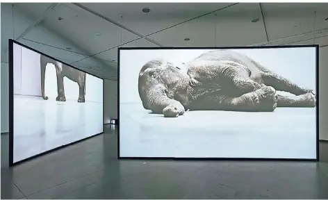  ?? FOTO: VG BILD-KUNST, BONN, 2018; KATJA ILLNER ?? Douglas Gordon: „Play Dead; Real Time“, zu sehen im NRW-Forum Düsseldorf.