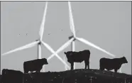  ?? RIEDEL/ASSOCIATED PRESS FILE PHOTO] [CHARLIE ?? In this Dec. 9, 2015, photo, cattle graze in a pasture against a backdrop of wind turbines near Vesper, Kan.