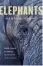  ??  ?? THIS IS AN EDITED EXTRACT FROM ELEPHANTS BY HANNAH MUMBY, PUBLISHED BY JONATHAN BALL. R320 (RECOMMENDE­D RETAIL PRICE).