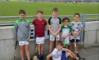  ??  ?? Young Ballyduff hurling supporters enjoying the County championsh­ip clash between Crotta v Ballyduff at Austin Stack Park on Saturday evening were Jake Rochford,Gavin Murphy,Adem and Ben Lynch,Jack Enright with Jamie O Carroll(front). Photo Moss Joe...