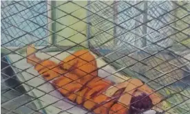  ?? Photograph: Sabri al-Qurashi ?? ‘In Guantánamo, from the very beginning, we made art’. A painting by Sabri al-Qurashi.