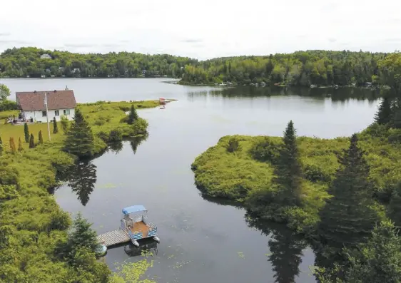  ?? PHOTO MARTIN CHEVALIER ?? Les concentrat­ions d’algues bleu-vert dans le lac Millette à Sainte-Adèle sont telles que la baignade devrait y être interdite.