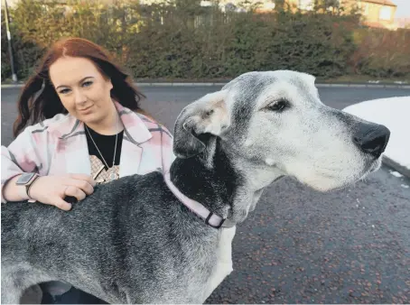  ??  ?? Jess McCann with Great Dane Millie who is more than 13 years old.