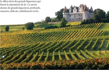  ??  ?? 1. Jean Thévenet sur son domaine de La Bongran. 2. Le vignoble d’alsace-grand-cru Furstentum. 3. Paysage du vignoble à Souzay-Champigny, près de Saumur dans le val de Loire. 4. Le château de Monbazilla­c et son vignoble.