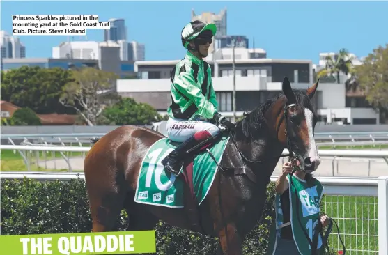  ?? ?? Princess Sparkles pictured in the mounting yard at the Gold Coast Turf Club. Picture: Steve Holland