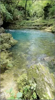  ?? NWA Democrat-Gazette/FLIP PUTTHOFF ?? Greer Spring, near Alton in south central Missouri, is the second largest spring in the Ozarks. It flows from two outlets at an average daily rate of 222 million gallons. It’s a one-mile hike from the highway to the spring.