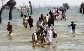  ?? Photograph: Rehan Khan/EPA ?? More than 33 million people have been affected by the devastatin­g flooding across Pakistan.