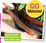  ??  ?? Decorate pots with pennies or use copper tape