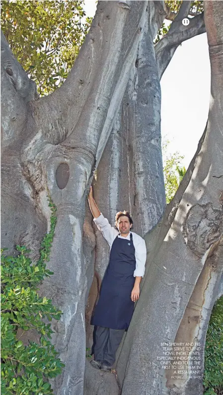  ?? PICTURE / ONE SHOT ?? BEN SHEWRY AND HIS TEAM STRIVE TO FIND NOVEL INGREDIENT­S, ESPECIALLY INDIGENOUS ONES, AND TO BE THE FIRST TO USE THEM IN A RESTAURANT.