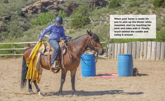  ??  ?? When your horse is ready for you to pick up the slicker while mounted, start by touching his neck and sides with it. Finally, touch behind the saddle and swing it around.